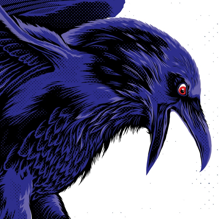 ryan-lynn-baltimore-ravens-detail